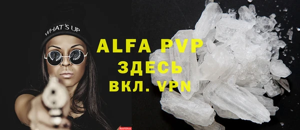 сатива Аркадак