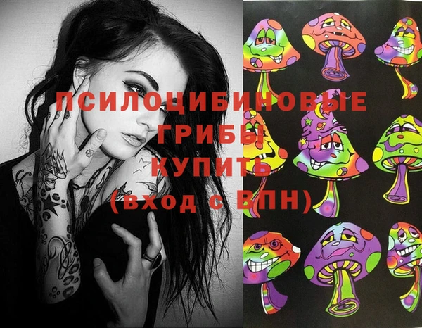 apvp Арсеньев