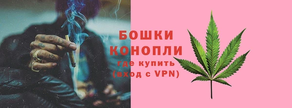 apvp Арсеньев