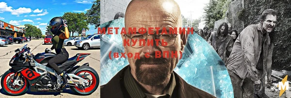 сатива Аркадак