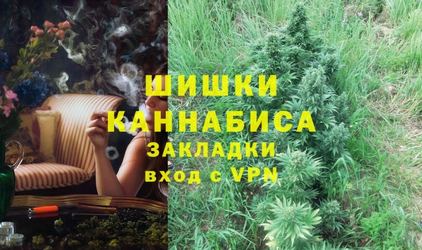 сатива Аркадак