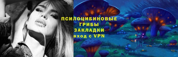 apvp Арсеньев