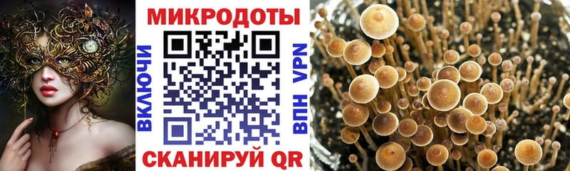 Псилоцибиновые грибы ЛСД Галич