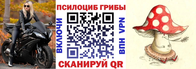 где найти   Галич  Галлюциногенные грибы Cubensis 